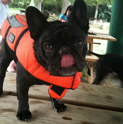 Kristen Klein Photo 15