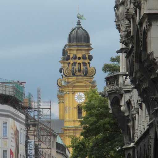 Michael Meek Photo 15