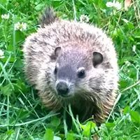 Jason Erwin Photo 19