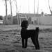 Kelly Wilcox Photo 8