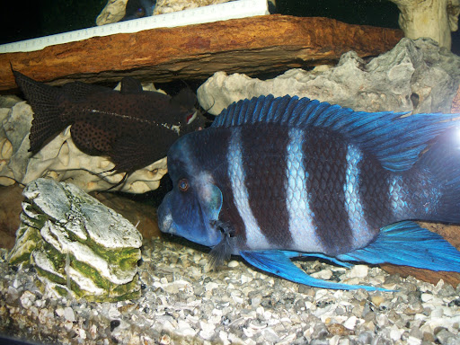 Jill Bates Photo 12 Jill Bates Photo 12