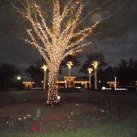 Paula Redmond Photo 12