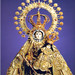 Jose Rosario Photo 39
