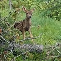 Donna Ott Photo 13