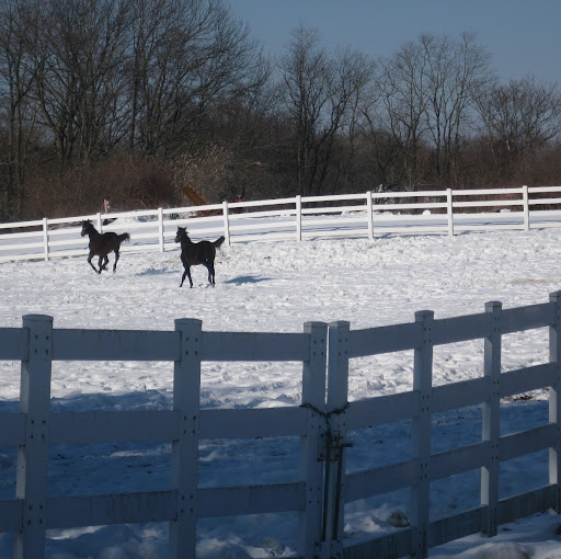 Terence Fitzpatrick Photo 14