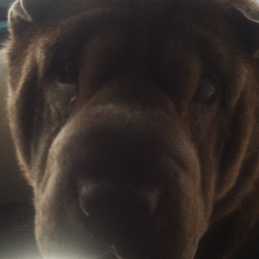 Ronald Barker Photo 38