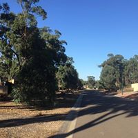 Joanne Fleming Photo 17