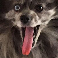 Philip Leach Photo 5