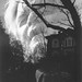Gerald Blake Photo 41