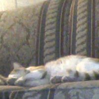 Michelle Scofield Photo 12