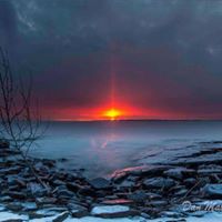 Ann Cavanaugh Photo 17