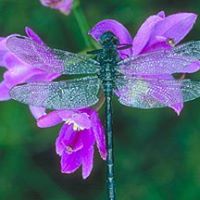 Sarah Lipton Photo 8