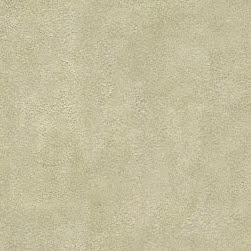 Lynn Jacobs Photo 30