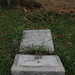 Nancy Cowen Photo 18