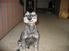 Carl Hoffman Photo 6