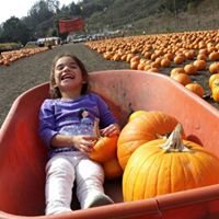 Julie Vasquez Photo 17