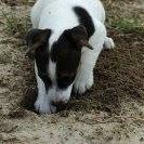 Daniel Oliver Photo 40