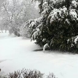 Connie Puckett Photo 8