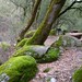 Brandy Moss Photo 40