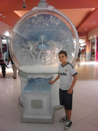 Harold Daniel Photo 18