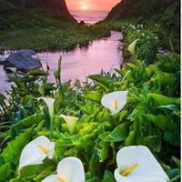 April Waybright Photo 8