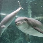 Carlos Chacon Photo 2