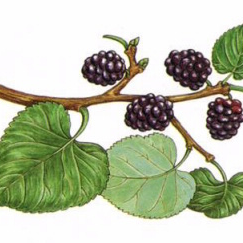 Darryl Simpson Photo 28