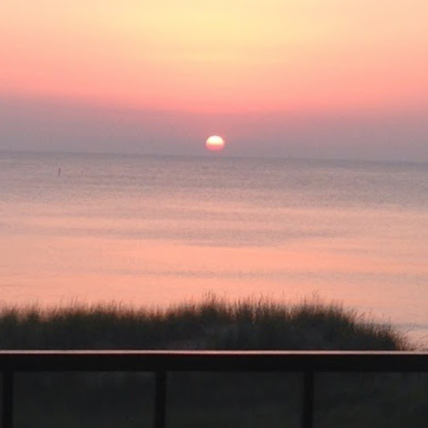 Jill Norton Photo 32