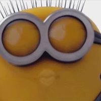 Rochelle Summers Photo 15