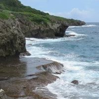 Sandi Harvey Photo 26