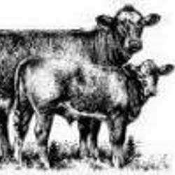 Sharon Warren Photo 26