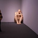 Joseph Mueck Photo 9