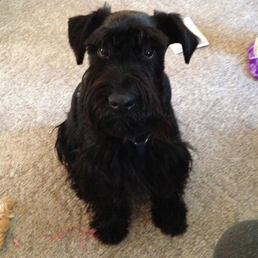 Tim Mcmichael Photo 23