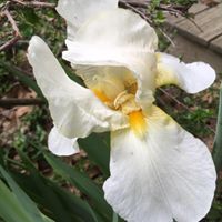 Elizabeth Riendeau Photo 4