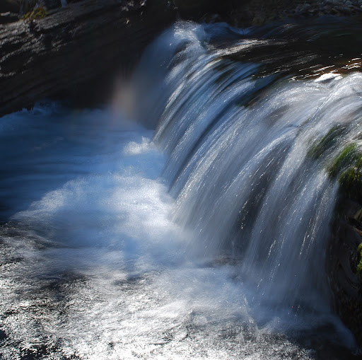 Charles Ferraro Photo 35