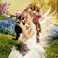 Deloris Kelley Photo 3