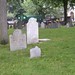 Elizabeth Tripp Photo 44