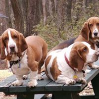 Angela Buck Photo 16