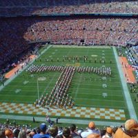 Tammy Lowery Photo 5