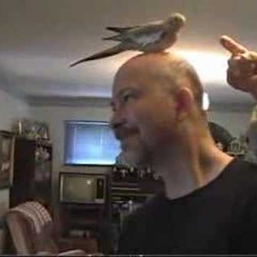 Lonnie Raper Photo 6