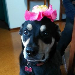 Sarah Yates Photo 35