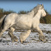 January Price Photo 8