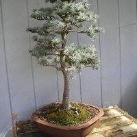 Kevin Hayes Photo 44 Kevin Hayes Photo 44