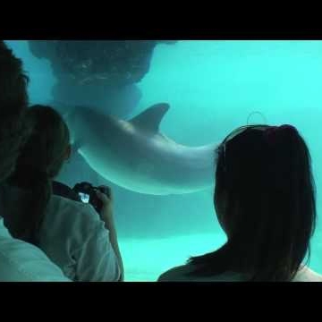 Shawn Swift Photo 28