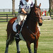 Kristen Bachman Photo 20