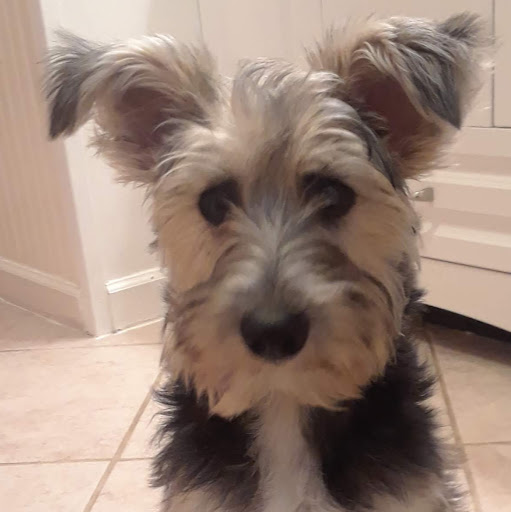 Virginia King Photo 26