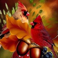 Debbie Davison Photo 19