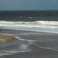 Lisa Mcdaniel Photo 6