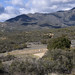 Francis Warner Photo 15