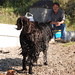 Jack Wiener Photo 7